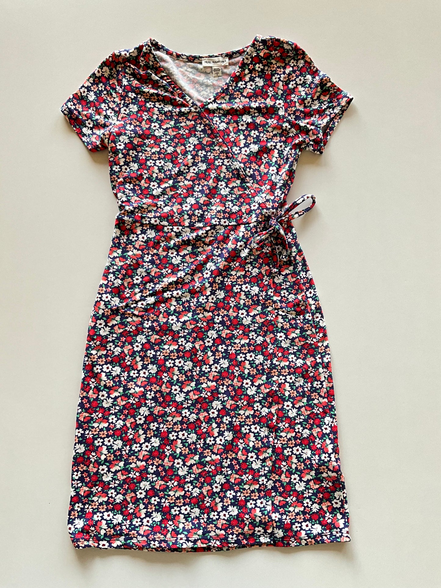 Blue with Red Floral Dress