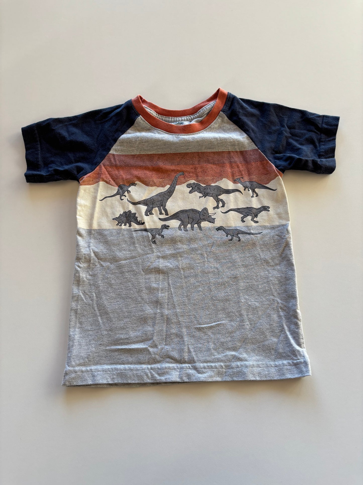 Colourblock Dinosaur Tee