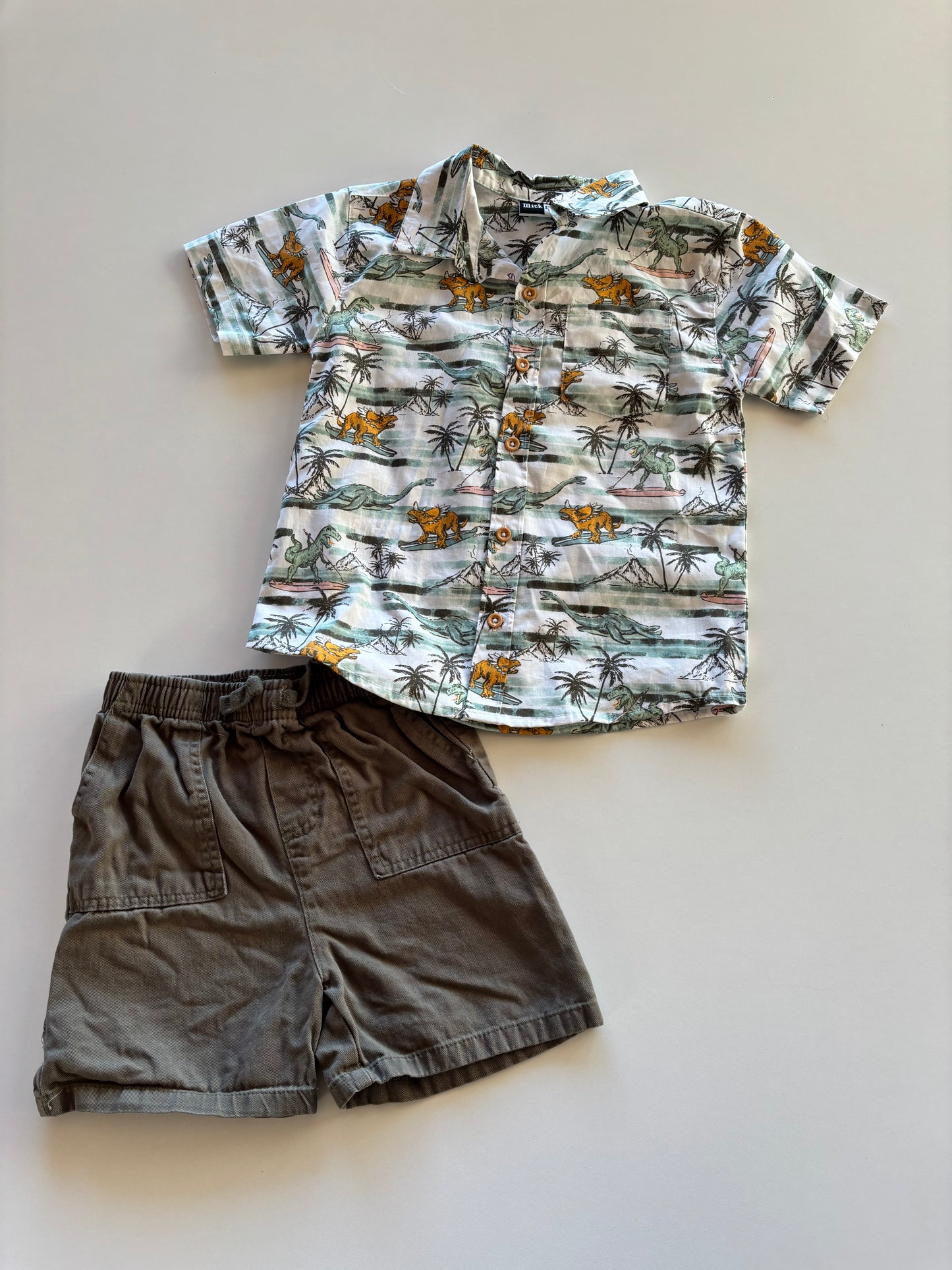 2pc Olive Dinosaurs Set