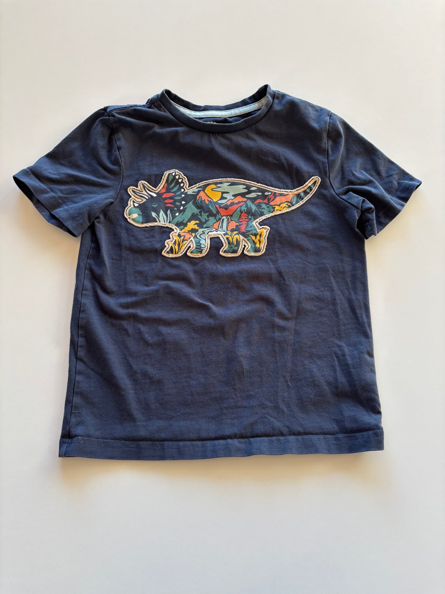 Navy Landscape Dinosaur Tee