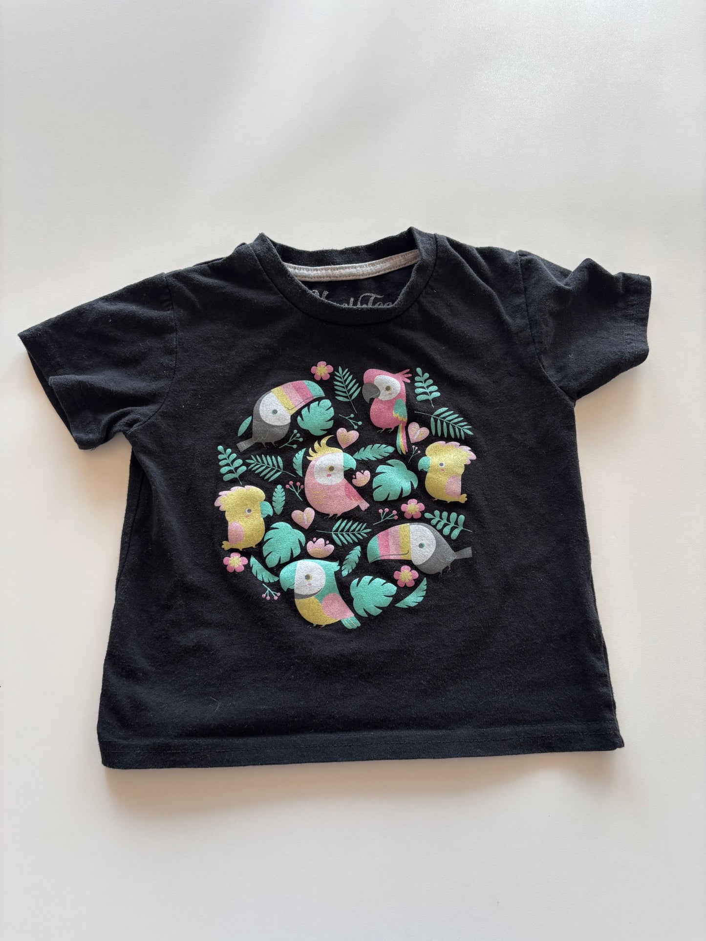 Black Tropical Birds Tee