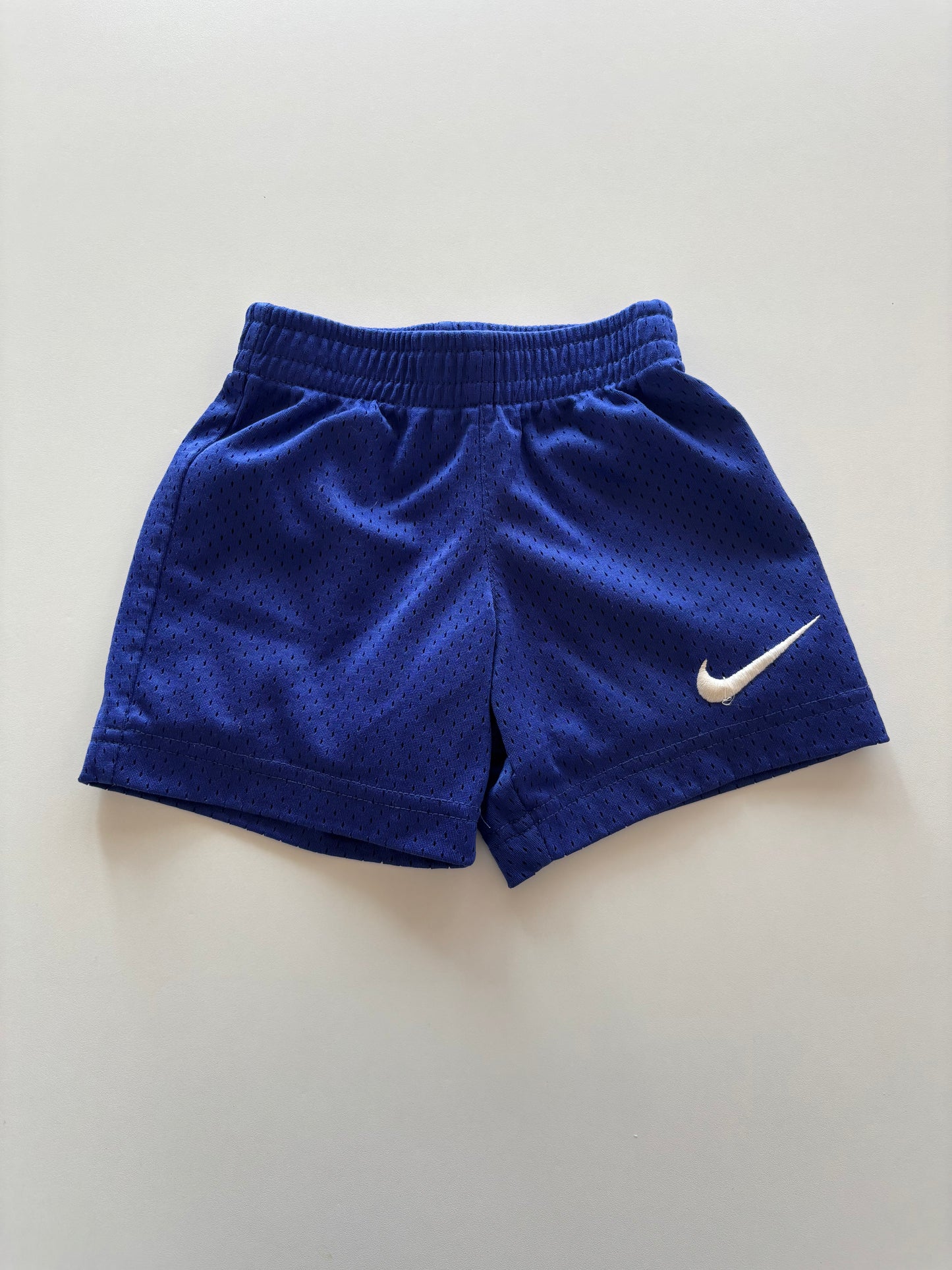 Blue Nike Mesh Shorts