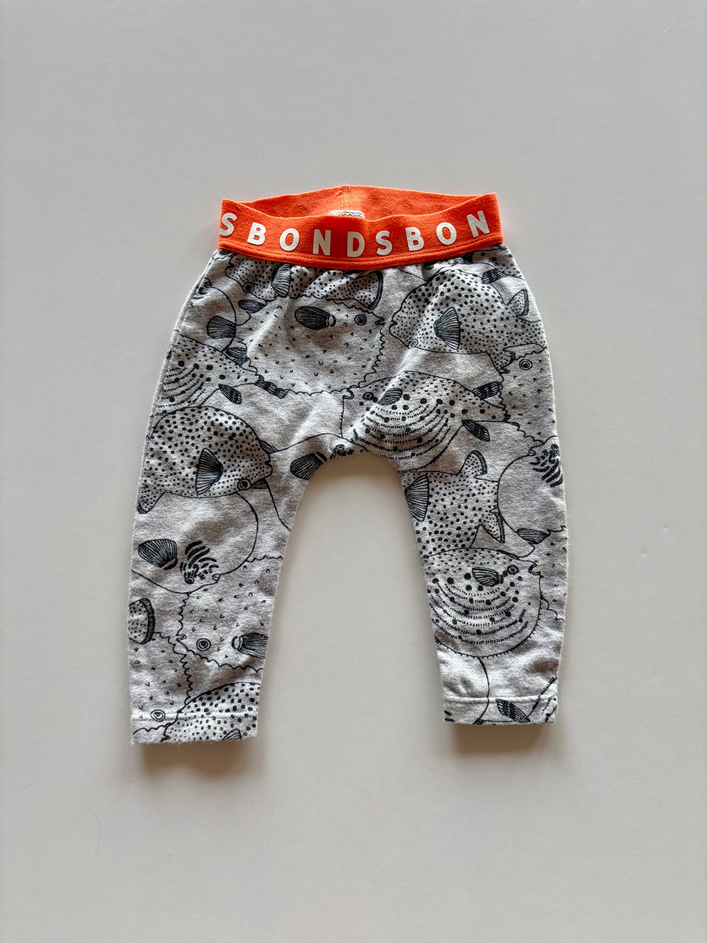 Grey & Orange Pufferfish Bonds Stretchies