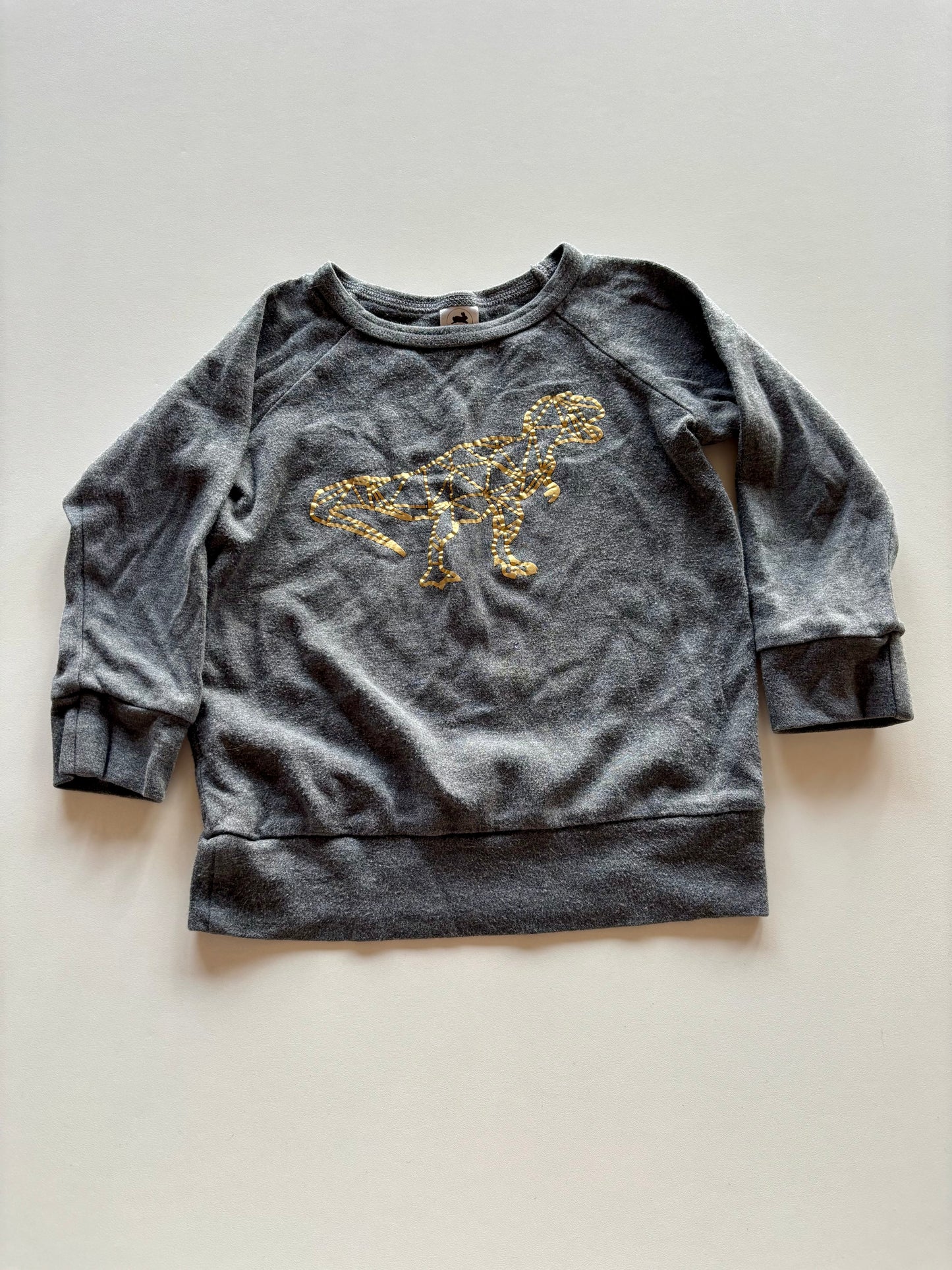 Grey Geo-Dino L&L Shirt