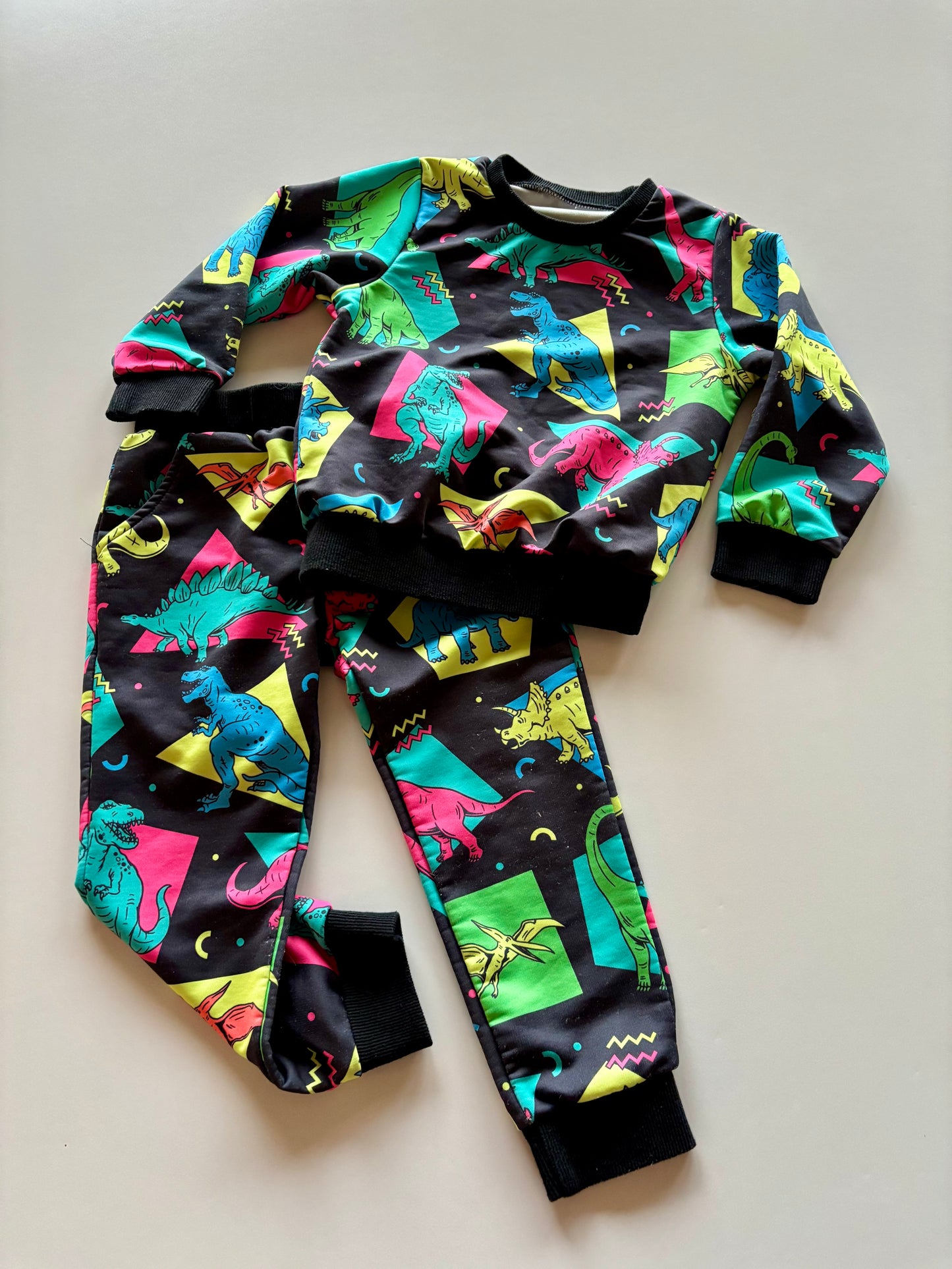 2pc Colourful Dino Leisure Suit