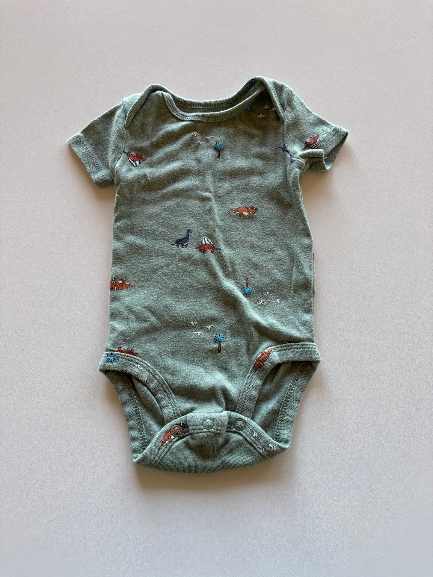 Sage Dinosaur Onesie