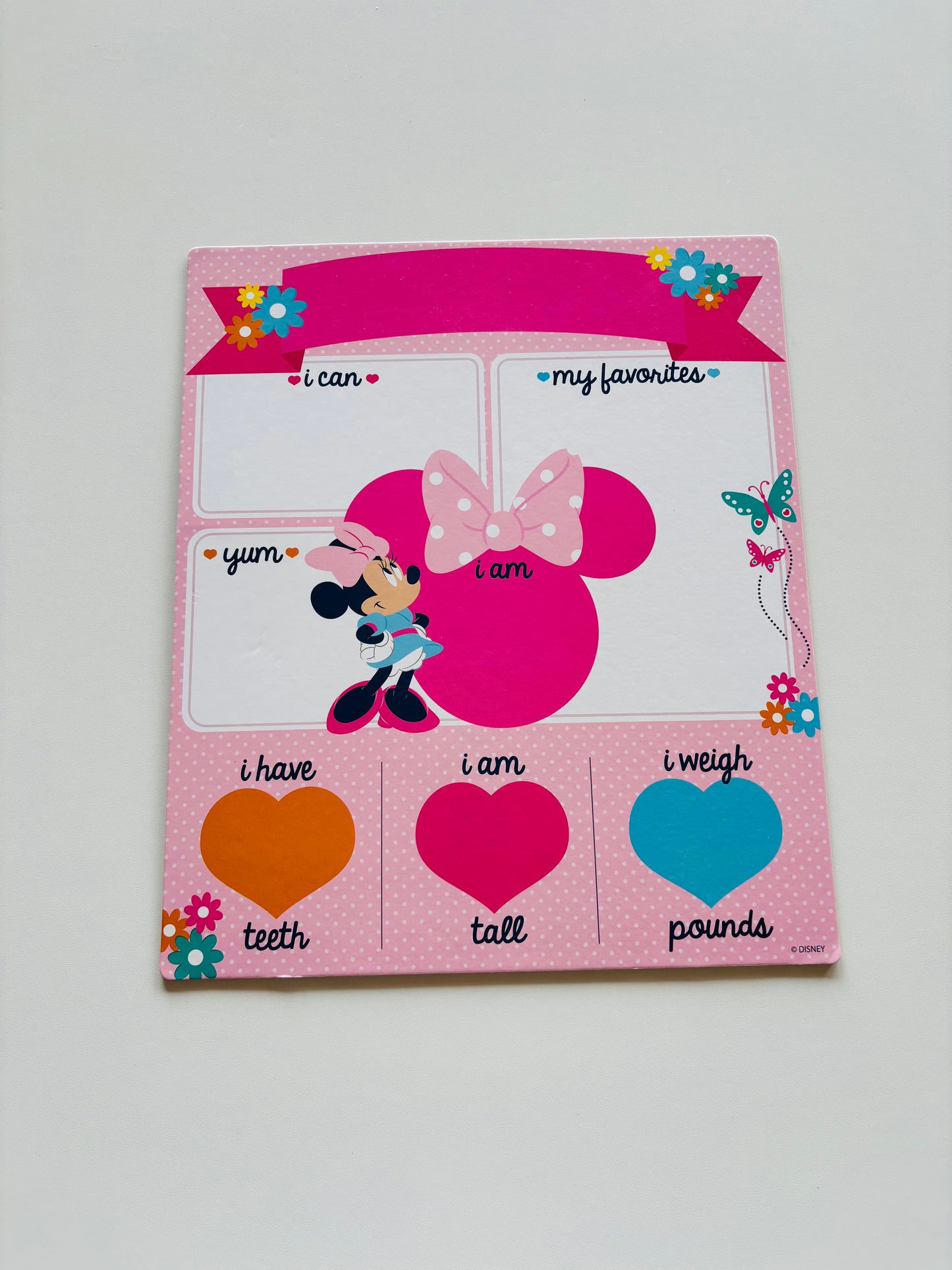 Disney Minnie Reusable Info Board