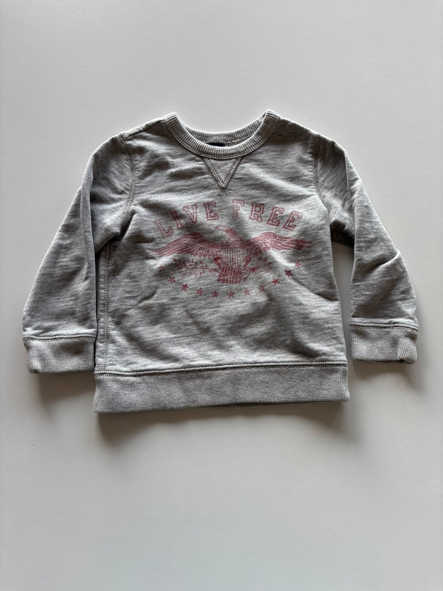 Grey Live Free Crewneck Sweater