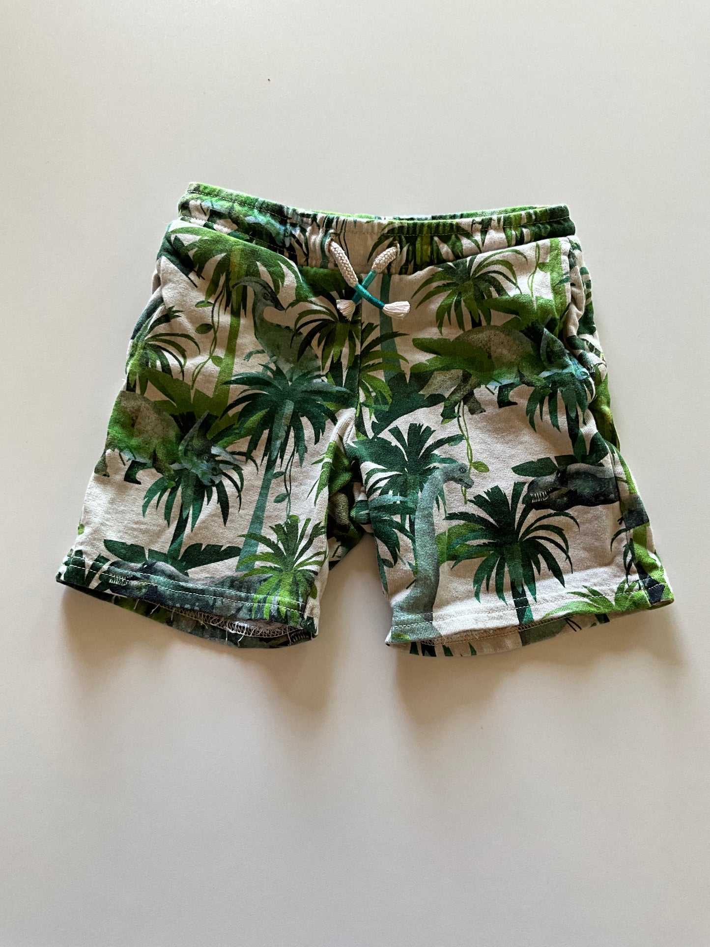 Dinosaur Palm Trees Shorts