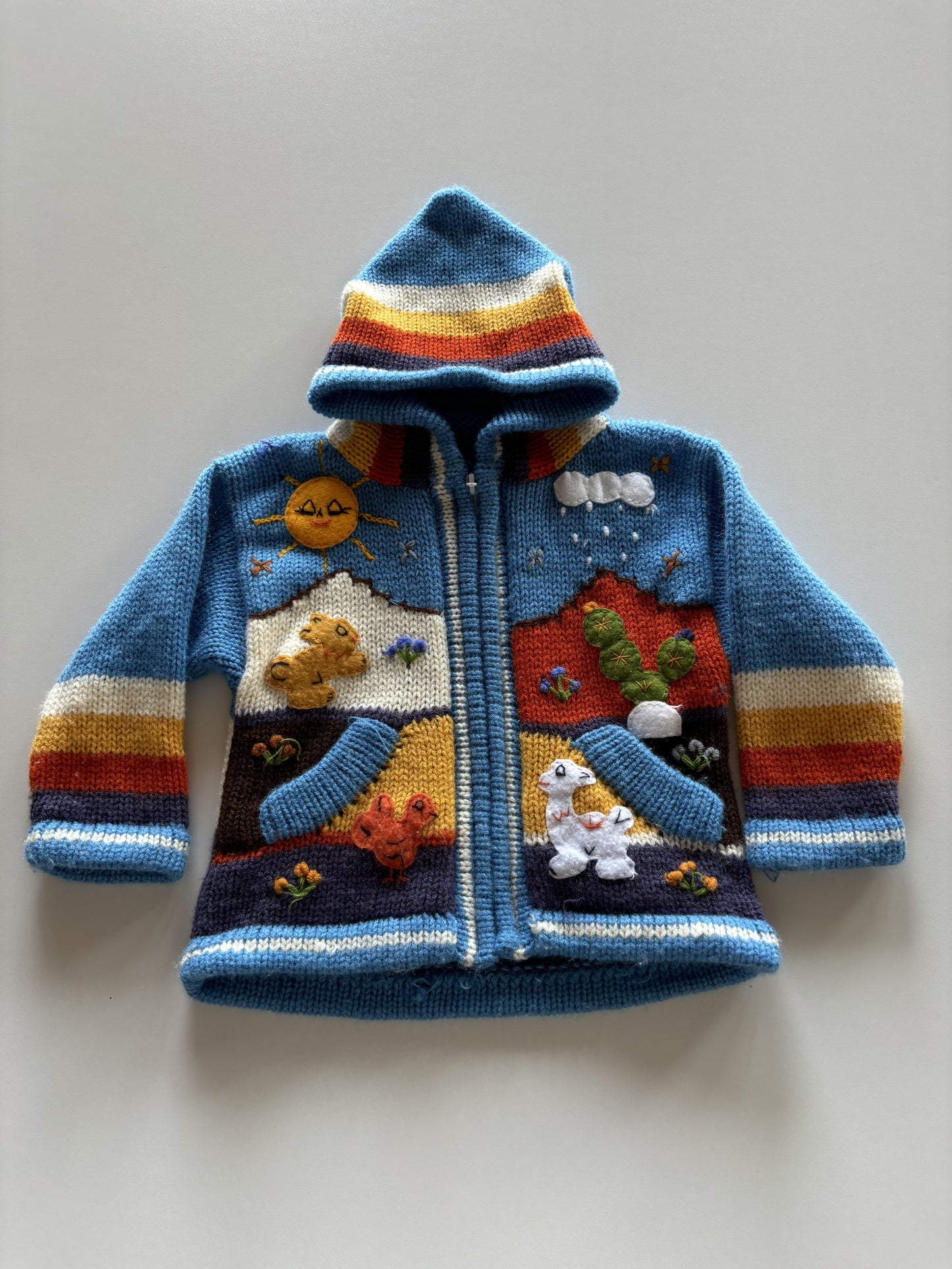 Blue Knit Applique Zip Up Hoodie