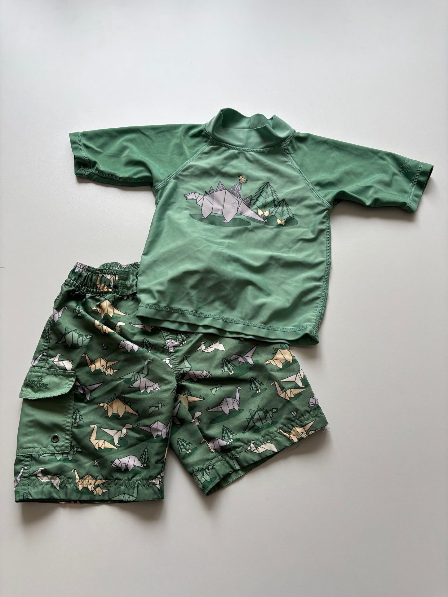 2pc Green Dino Swim Set