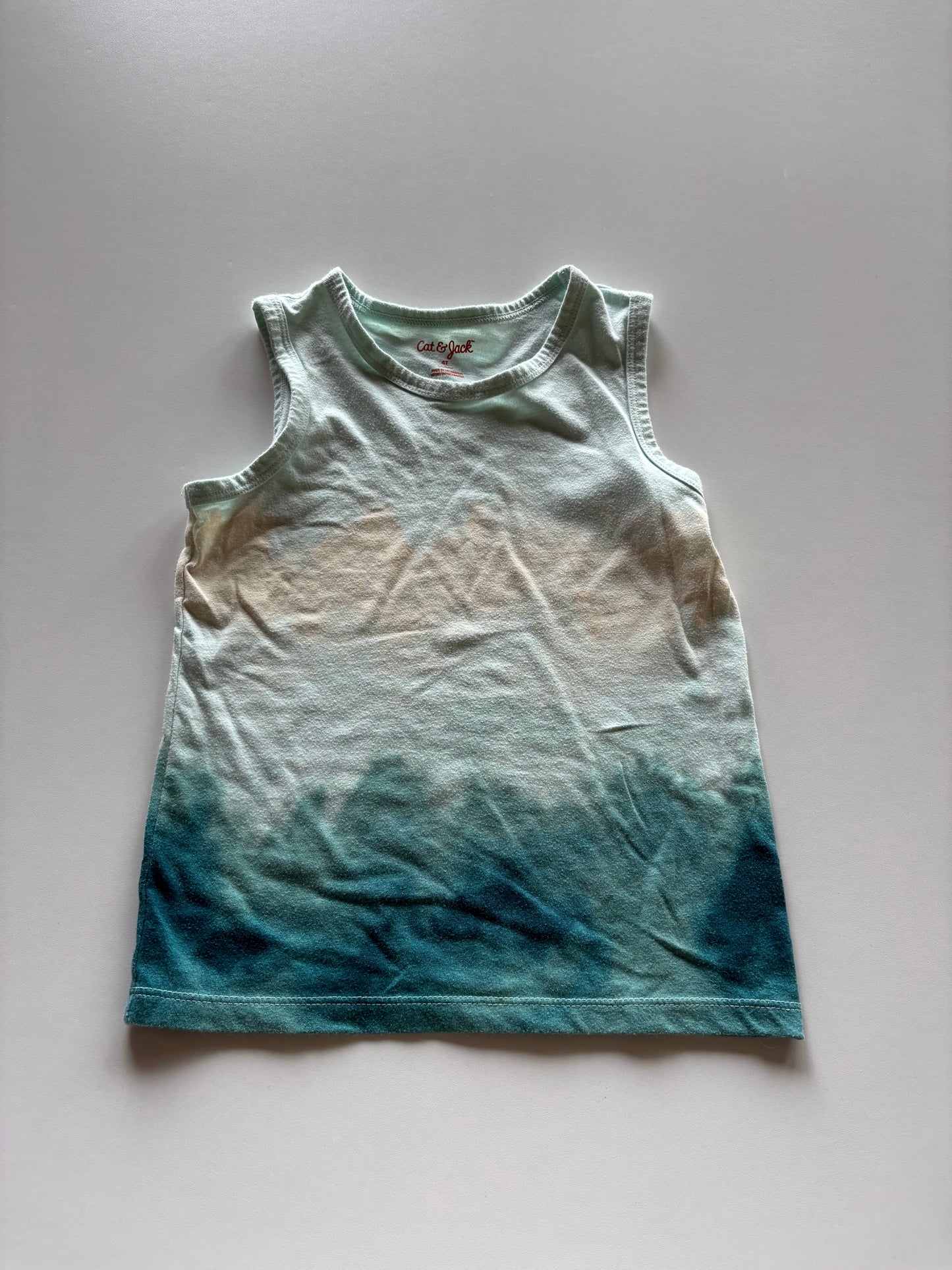 Blue Green Dipped Tank