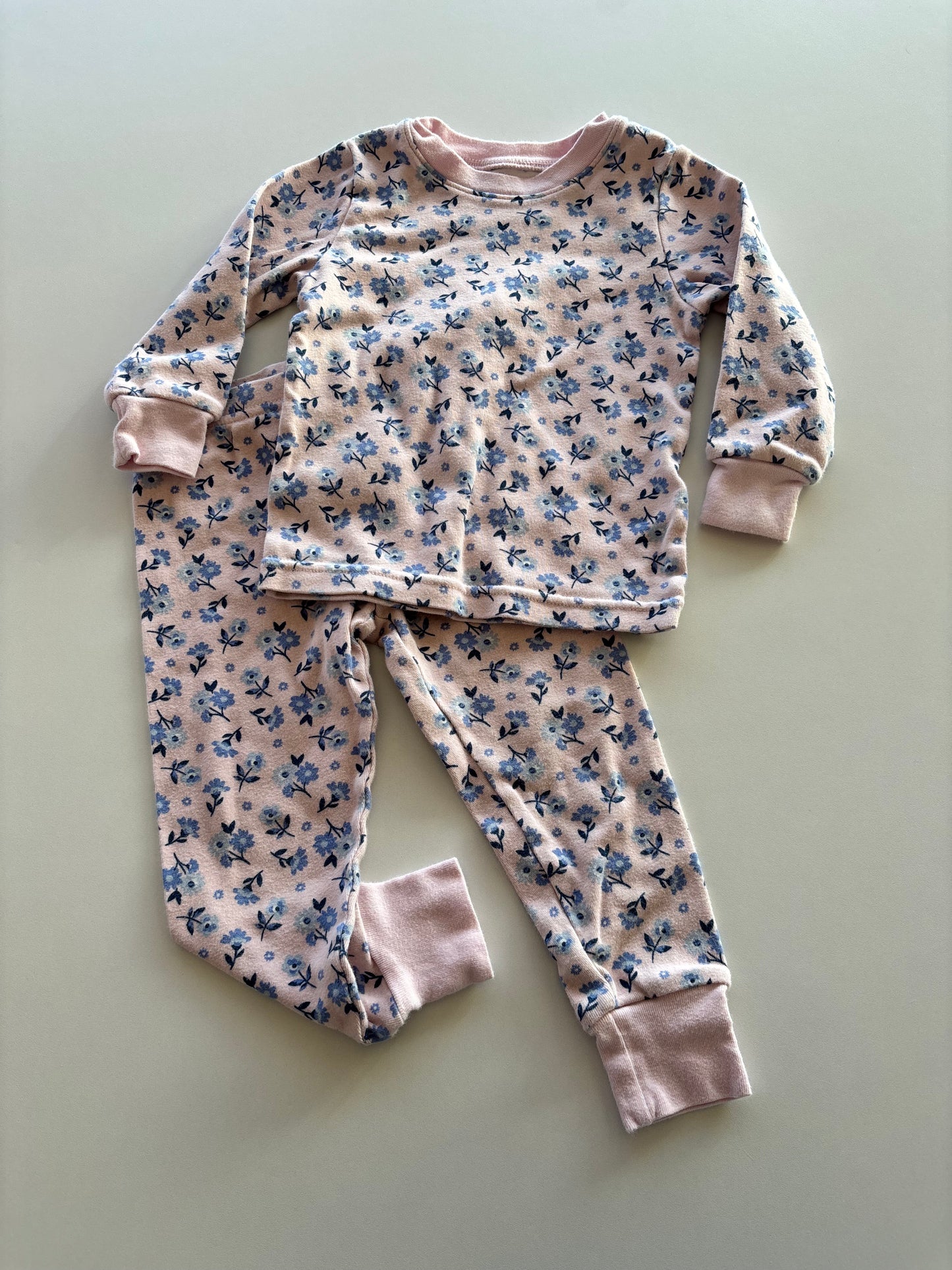 2pc Pink & Blue Floral Pajamas