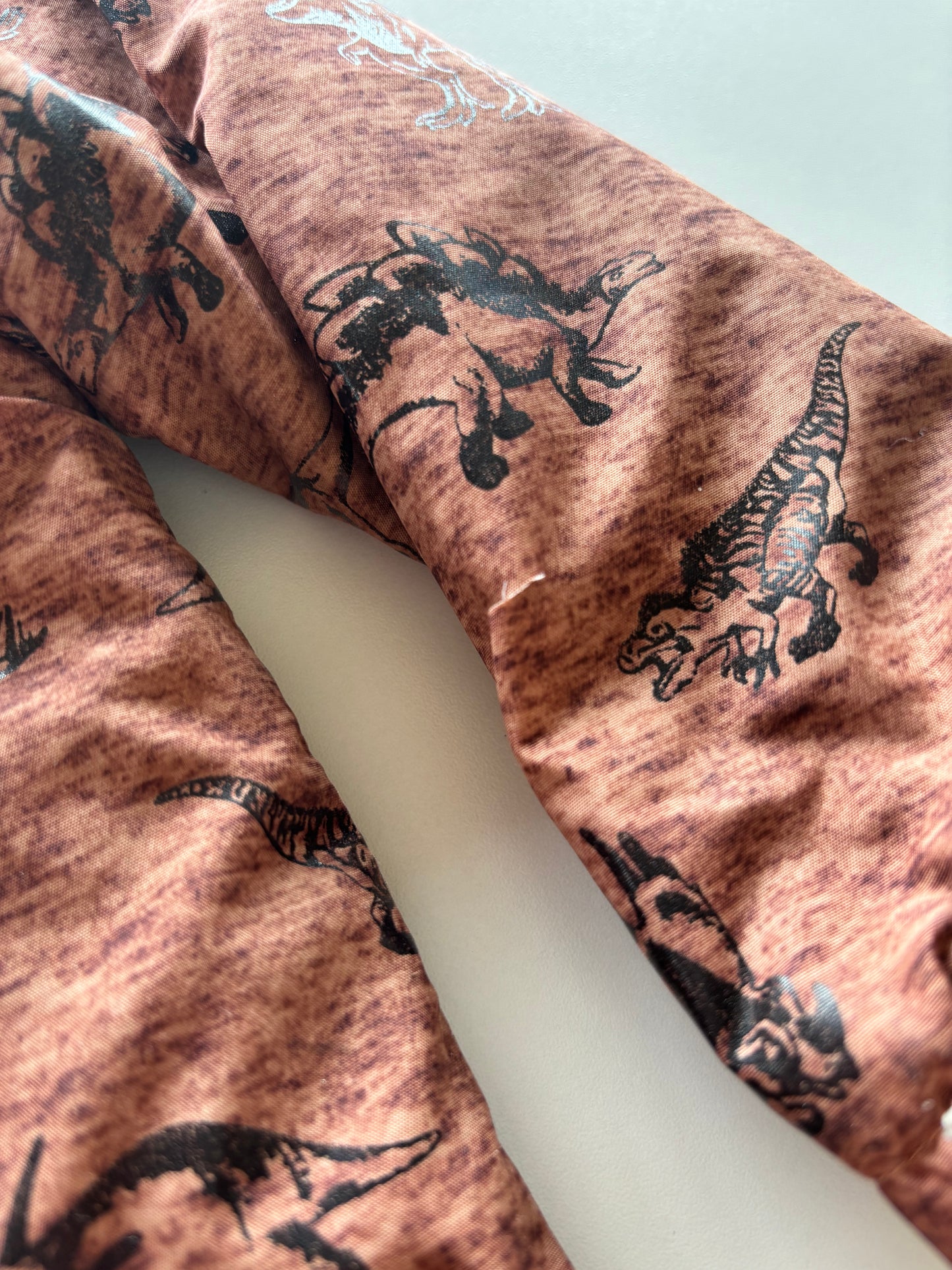 Brown Dinosaur Jacket