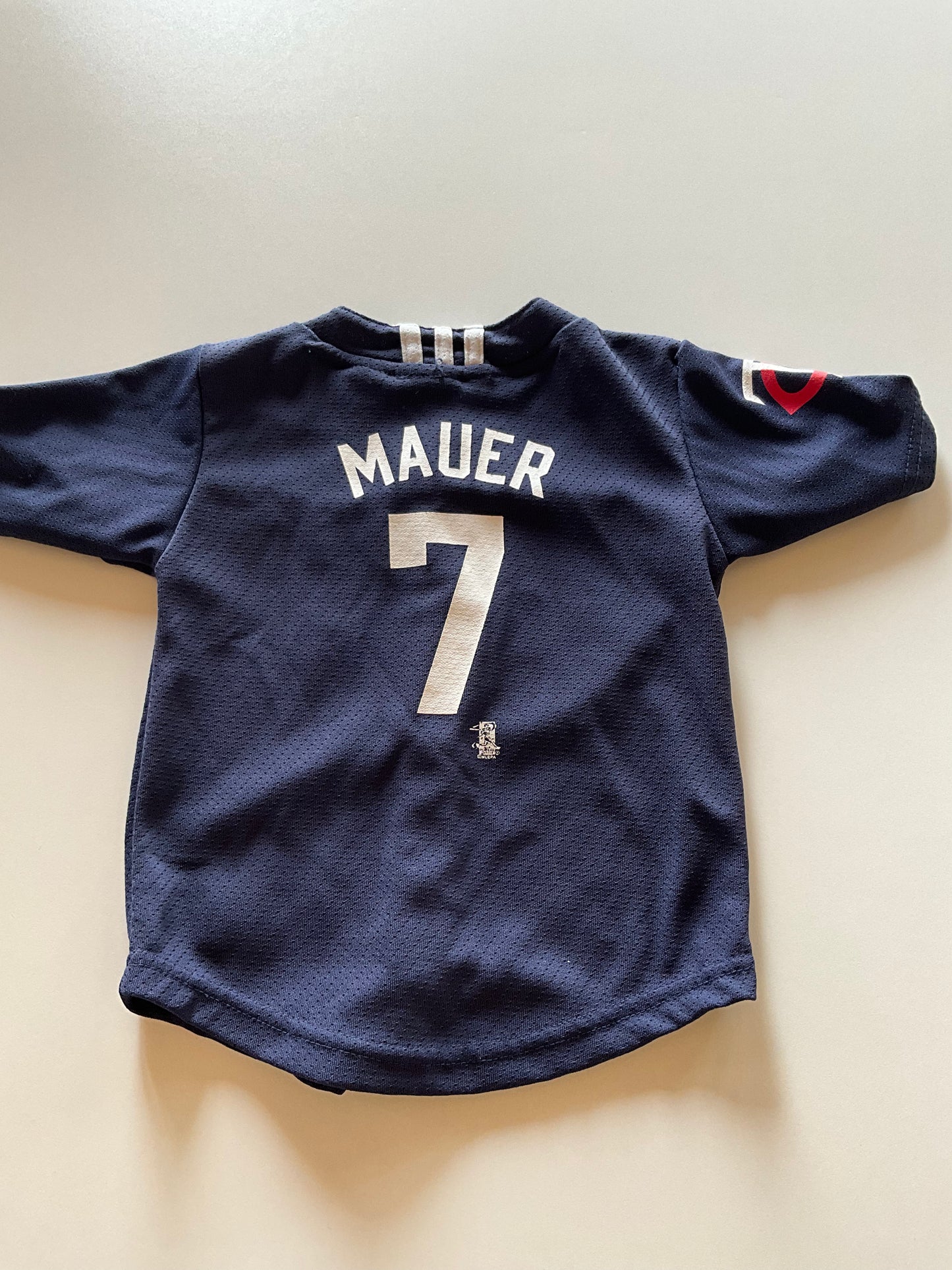 Twins Jersey