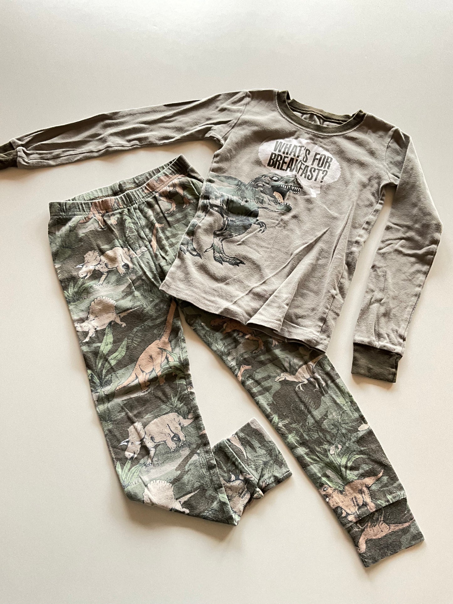 2pc Camo Dinosaur Pajamas