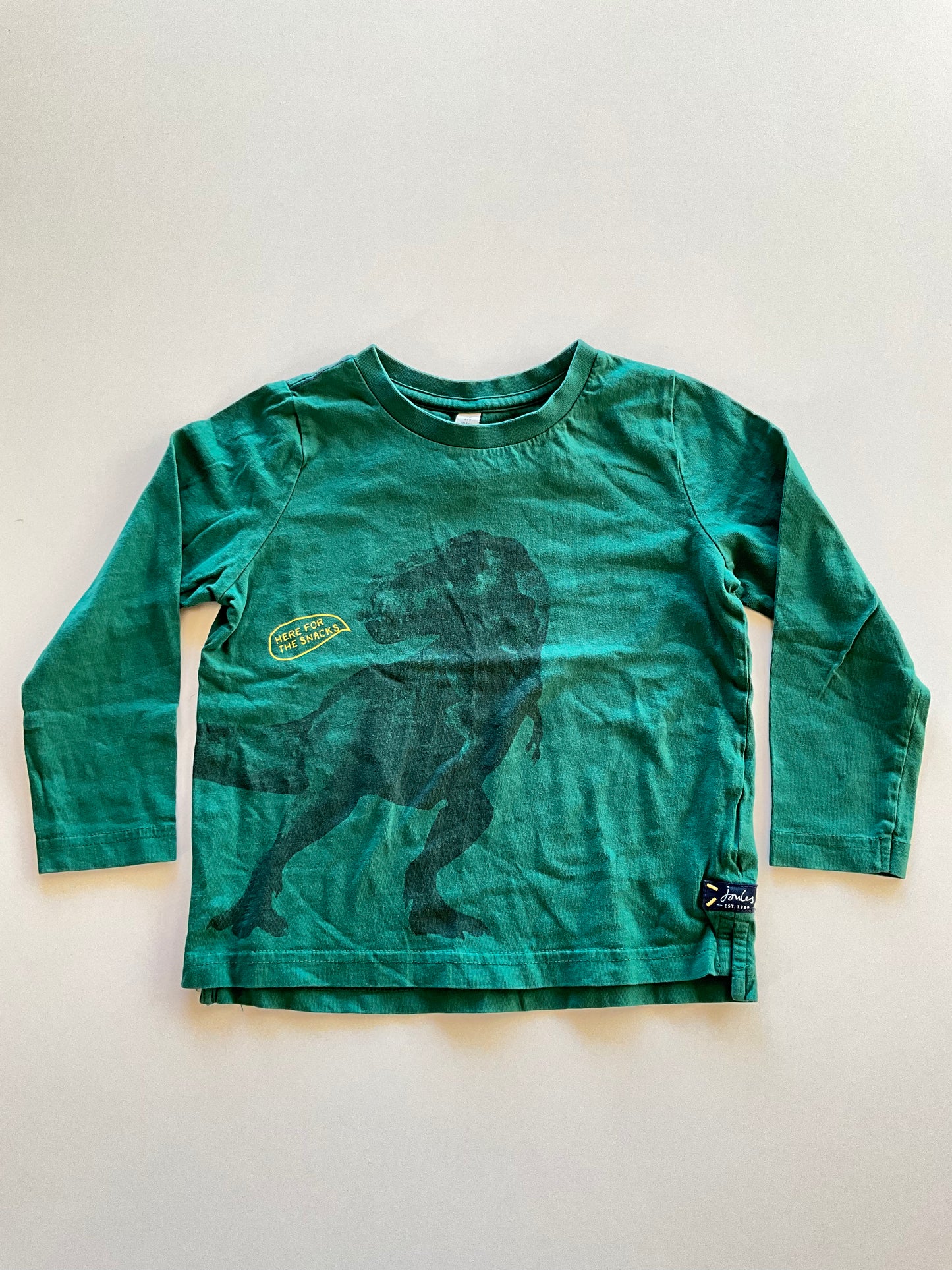 Green Dinosaur Here for the Snacks Shirt