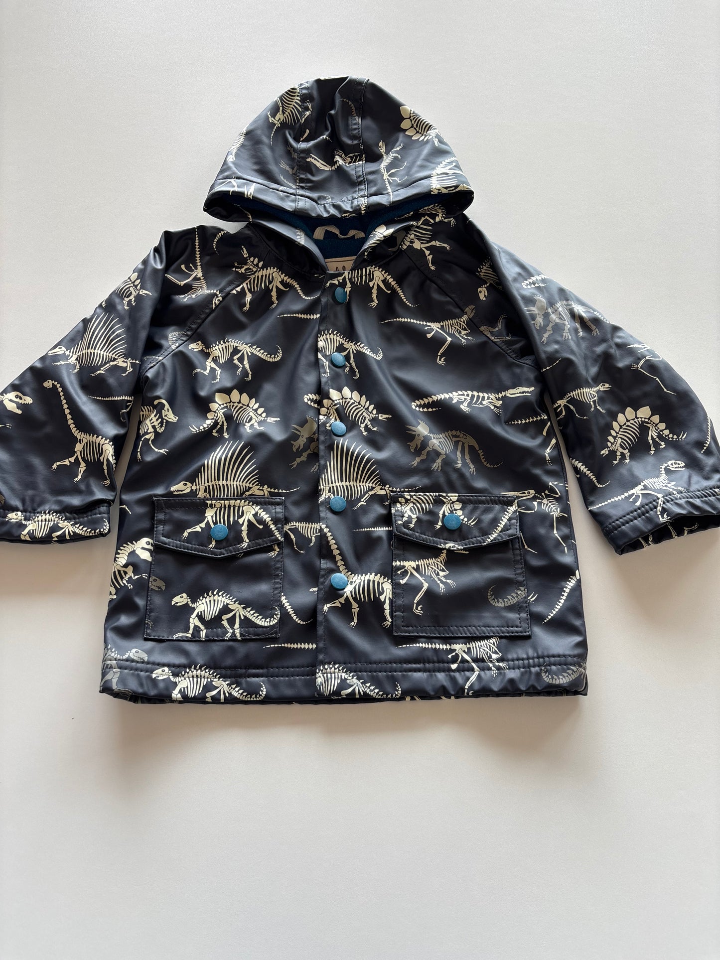 Blue Dino Skeleton Rain Jacket