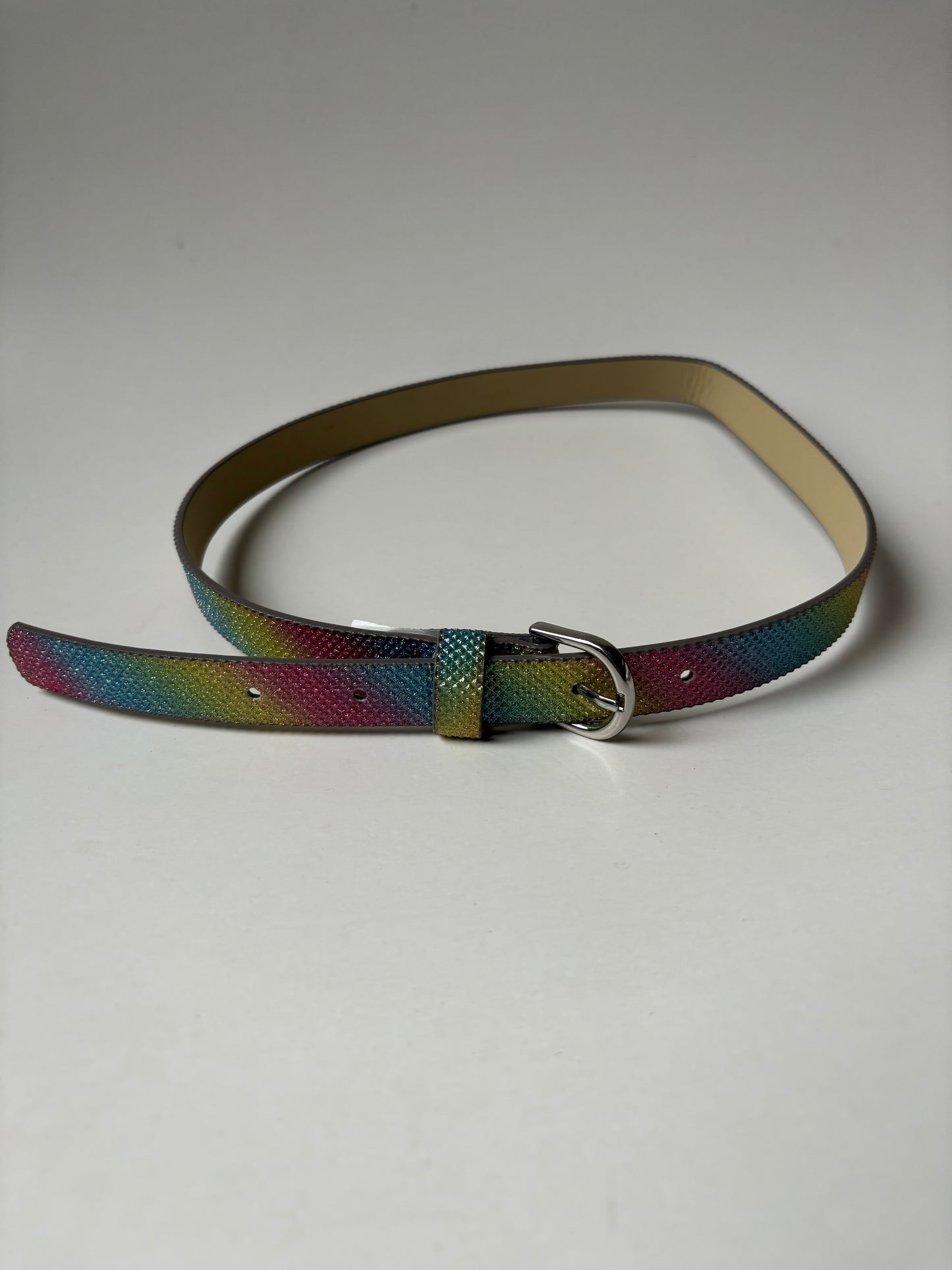 Sparkly Textured Rainbow Belt
