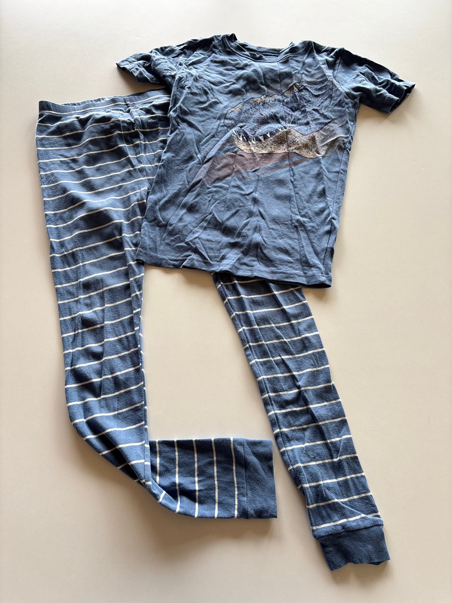 2pc Blue Dinosaur Pajamas