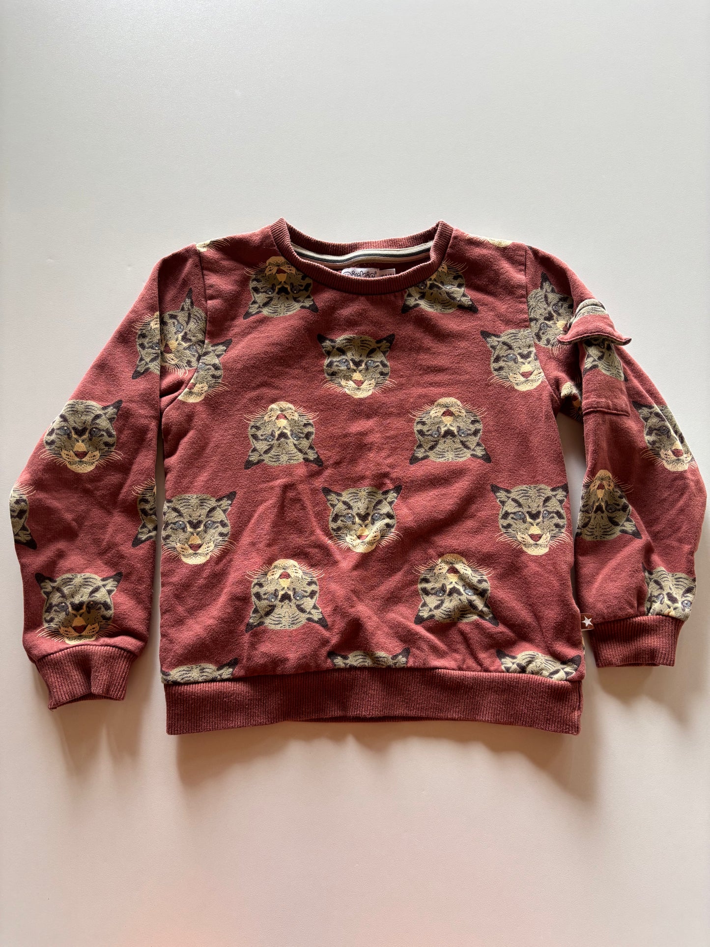 Rust Leopard Sweater