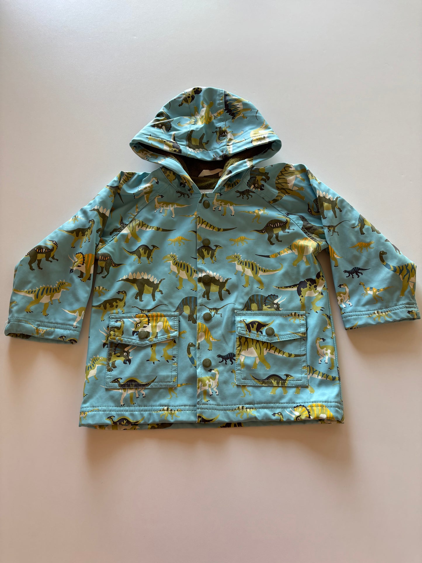 Blue Dinosaur Rain Jacket