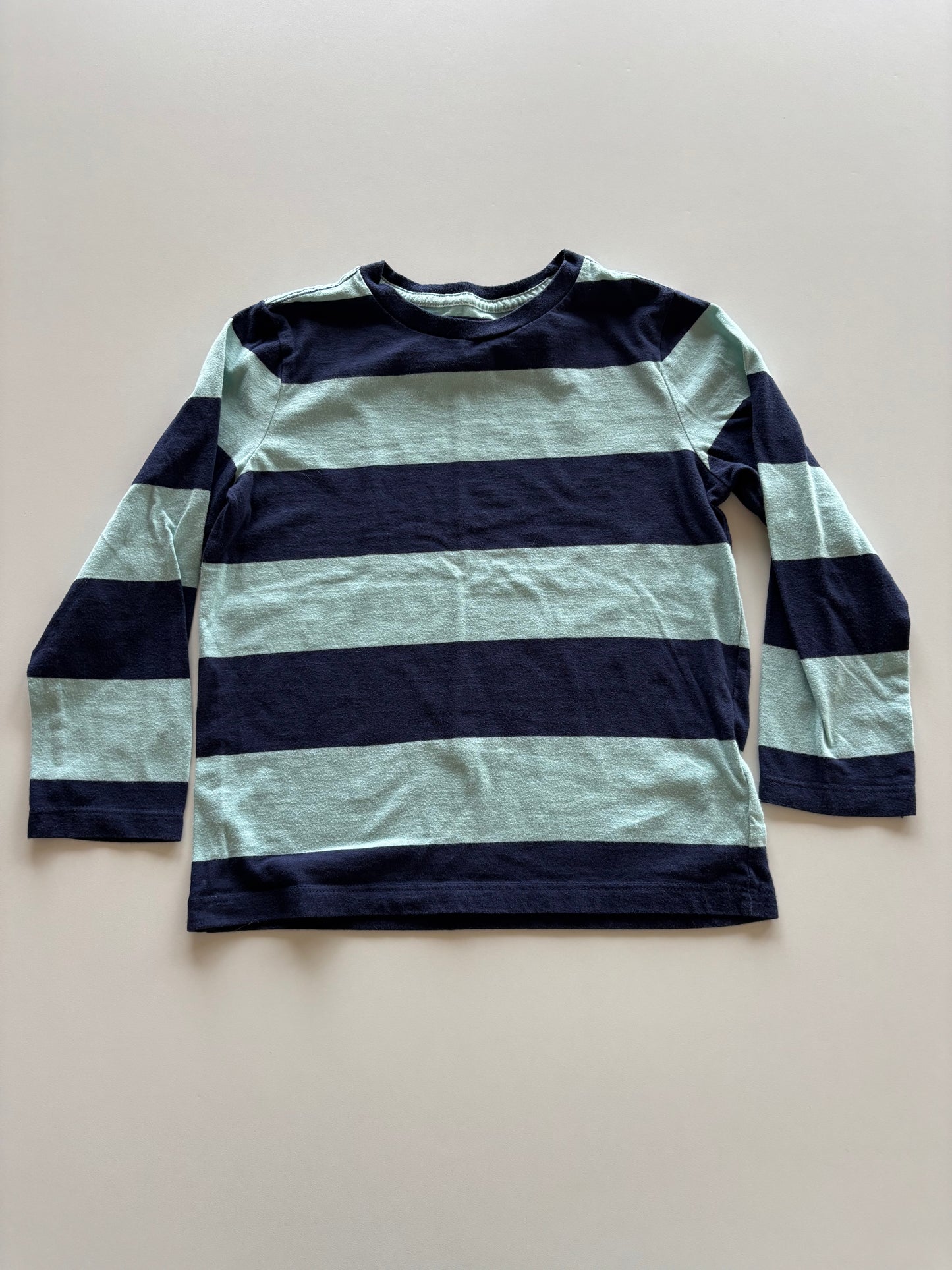 Blue Striped Shirt