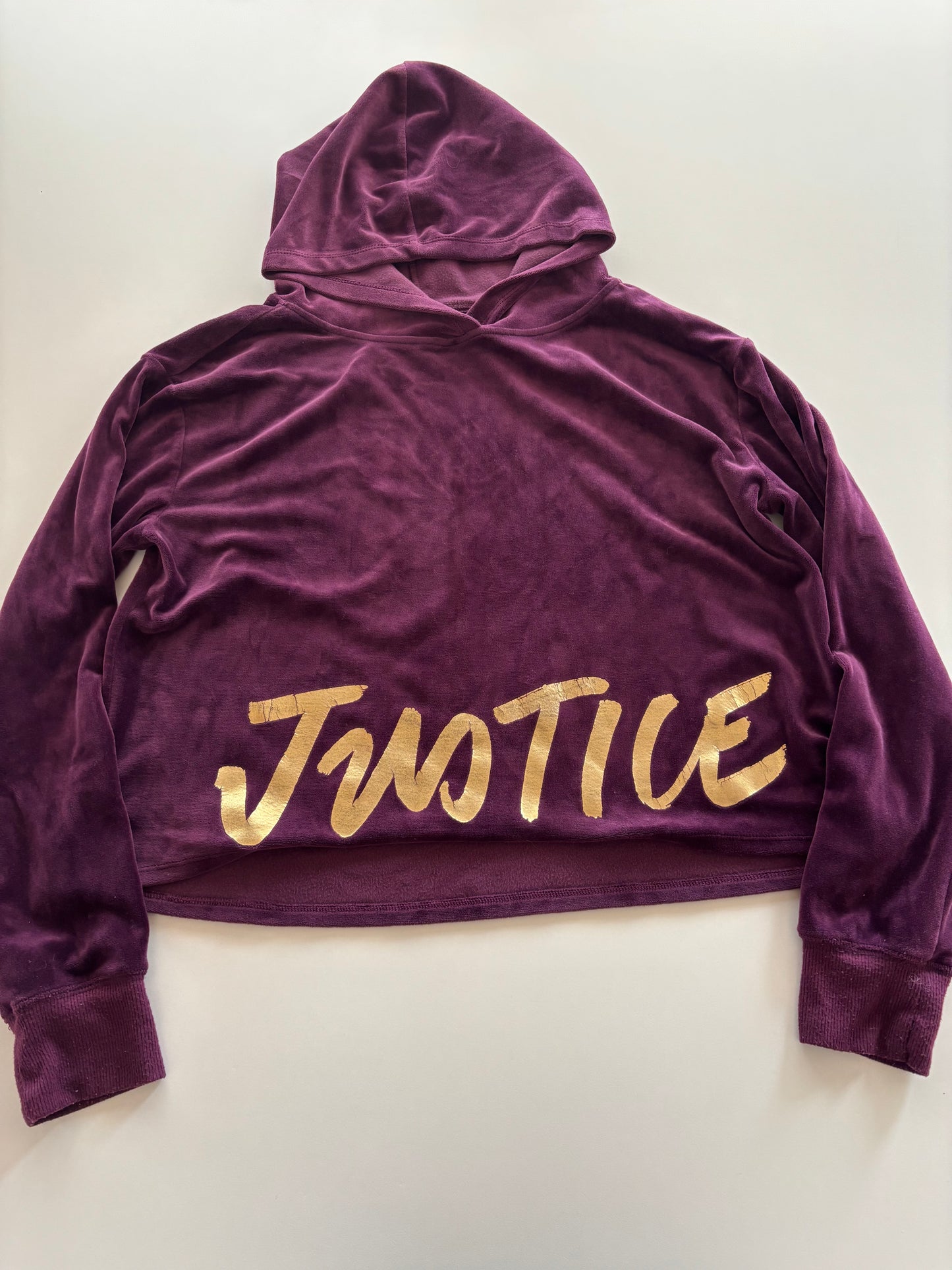 Eggplant Justice Velour Cropped Hoodie