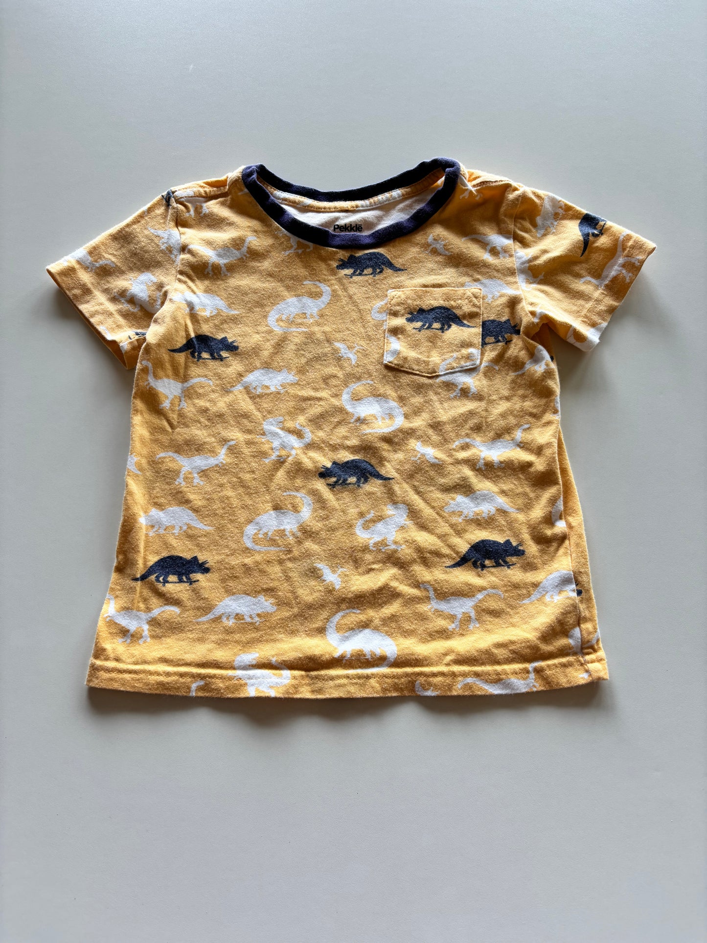 Orange Dinosaur Pocket Tee