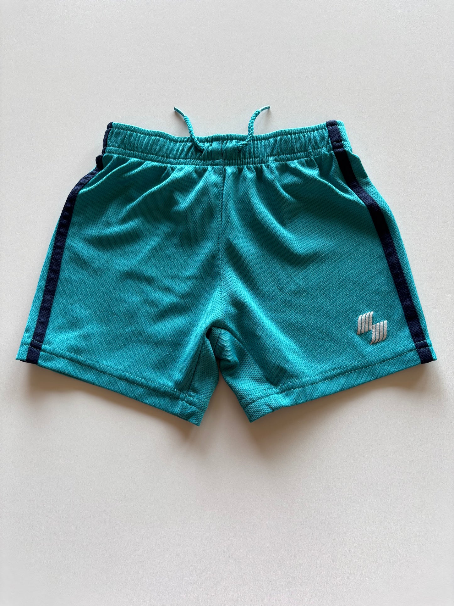 Turquoise Athletic Shorts