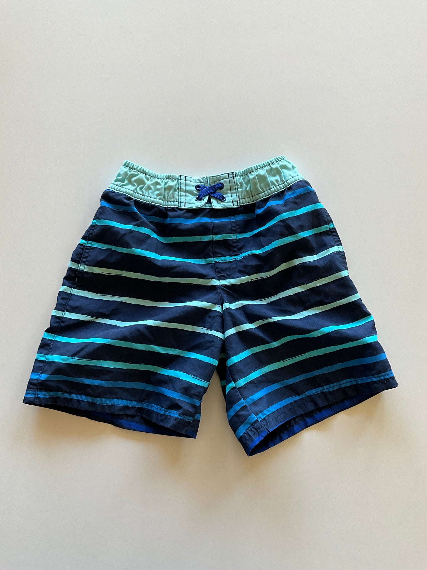 Blue Striped Swim Shorts