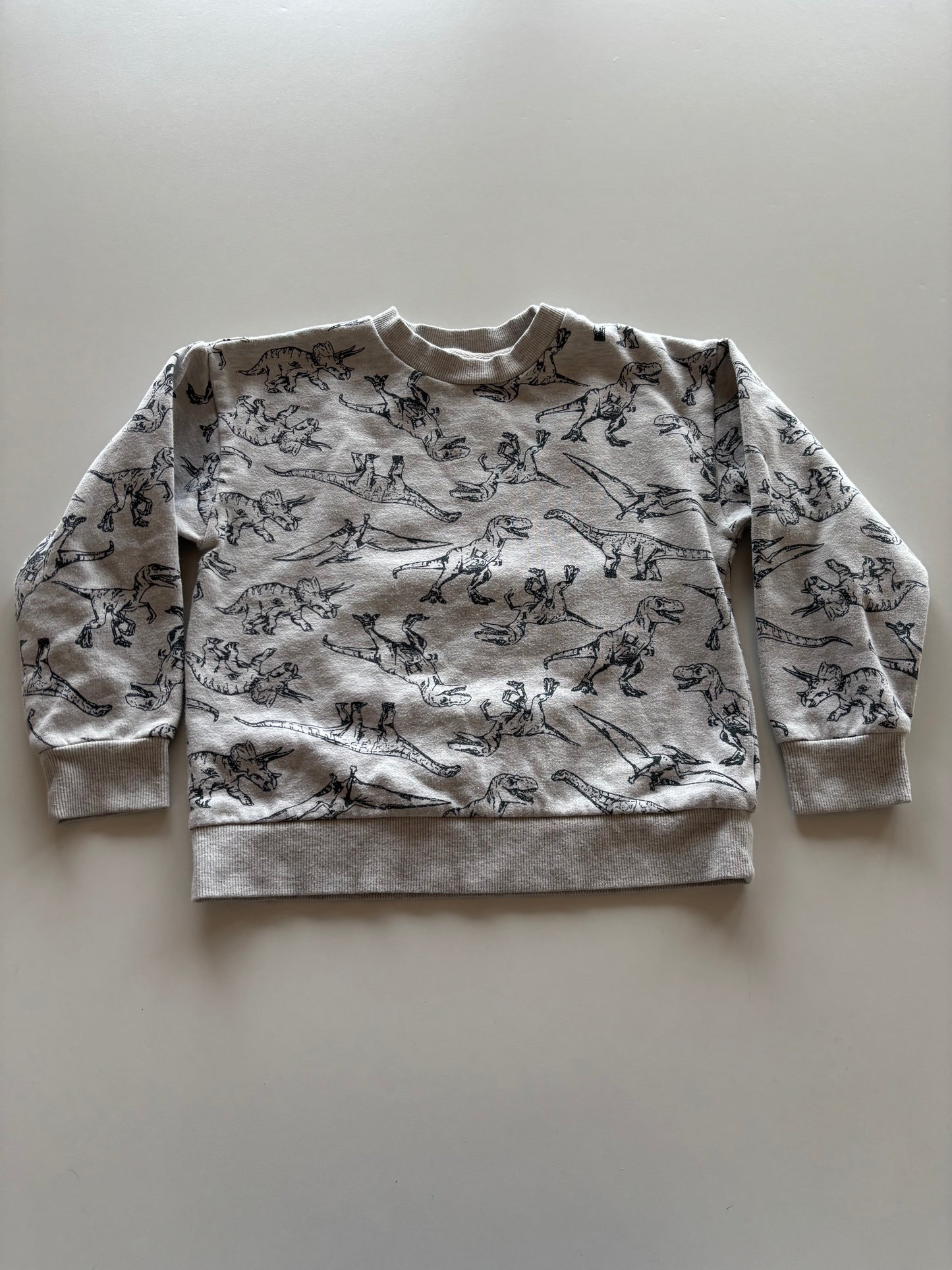 Grey Dino Crewneck Sweater
