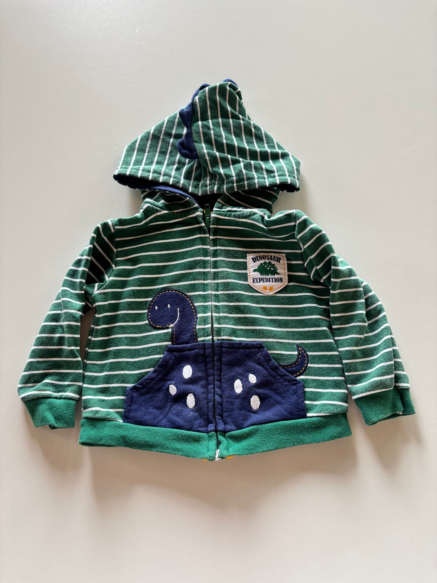 Green Striped Dino Zip Up Hoodie