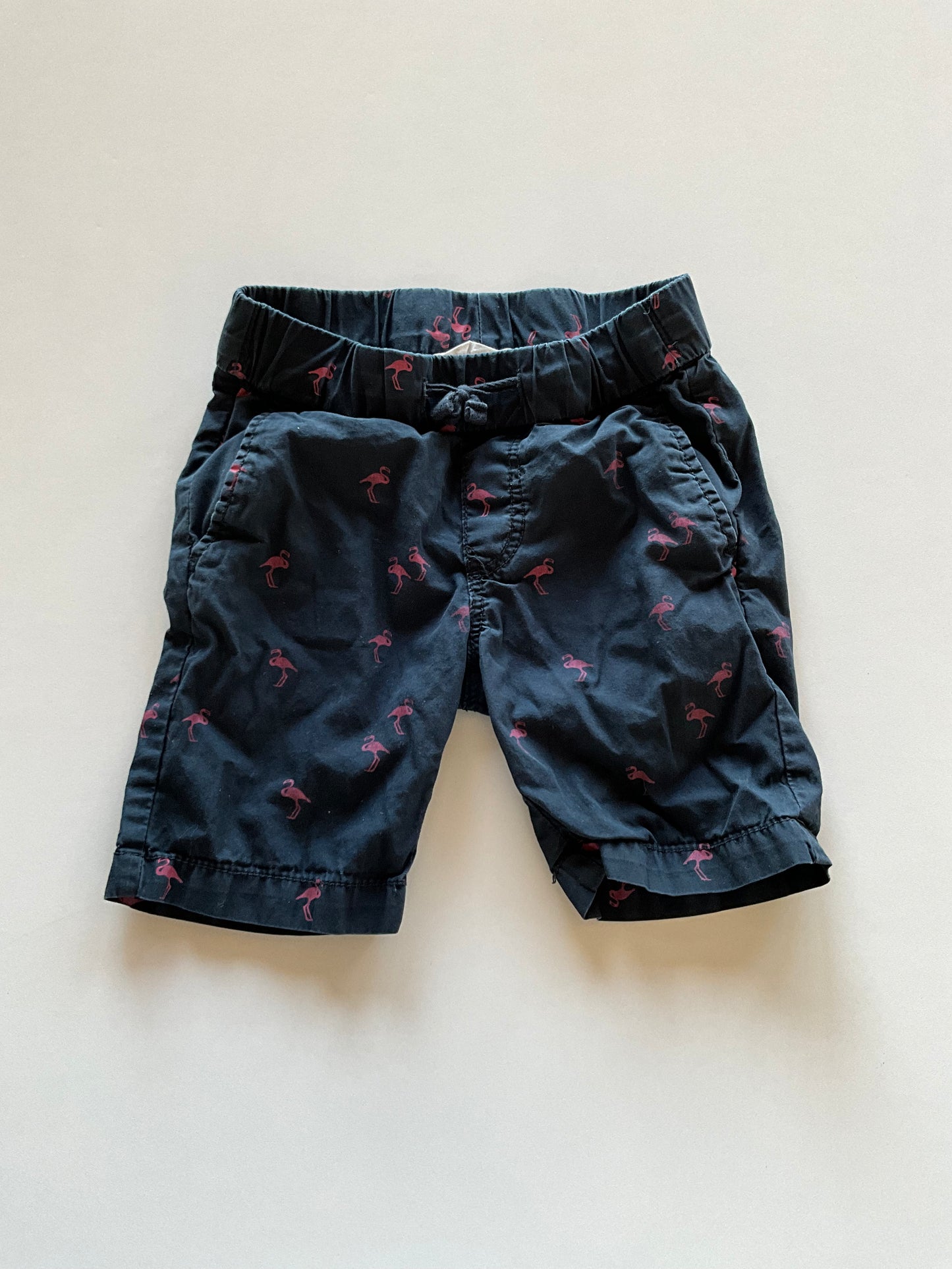 Flamingo Shorts