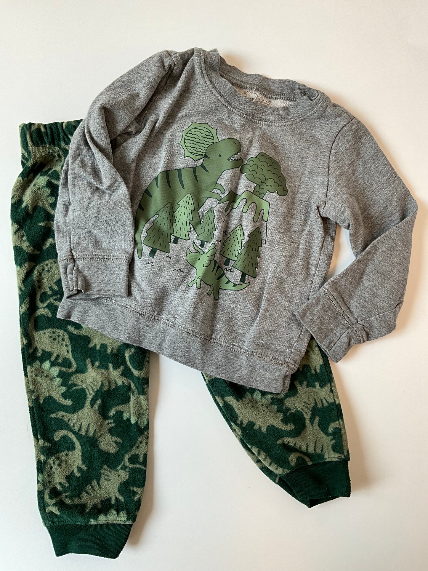 Dinosaur 2 Piece Set