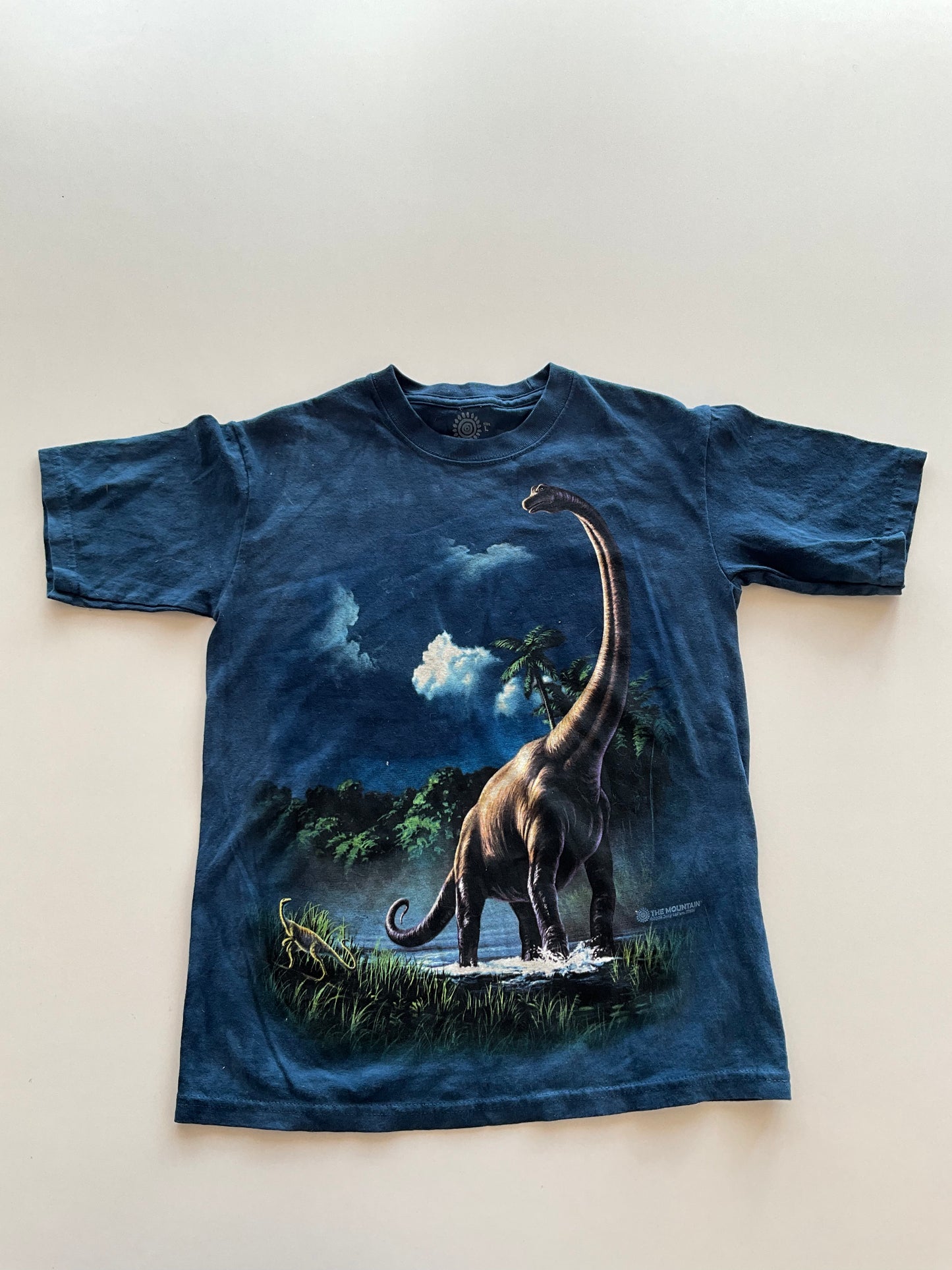 Dinosaur Tee