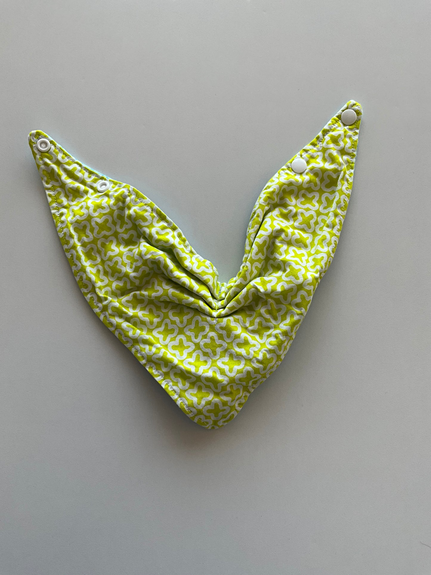 Blue & Green Reversible Drool Bib