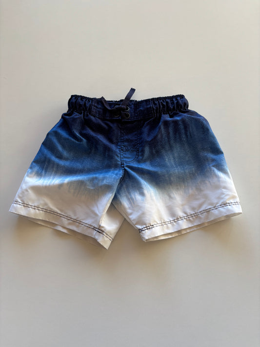 Blue Fade to White Swim Shorts