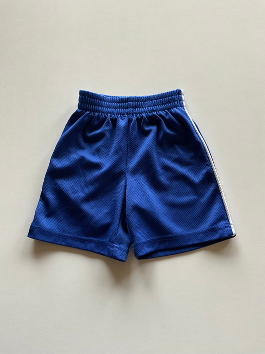 Blue Mesh Athletic Shorts