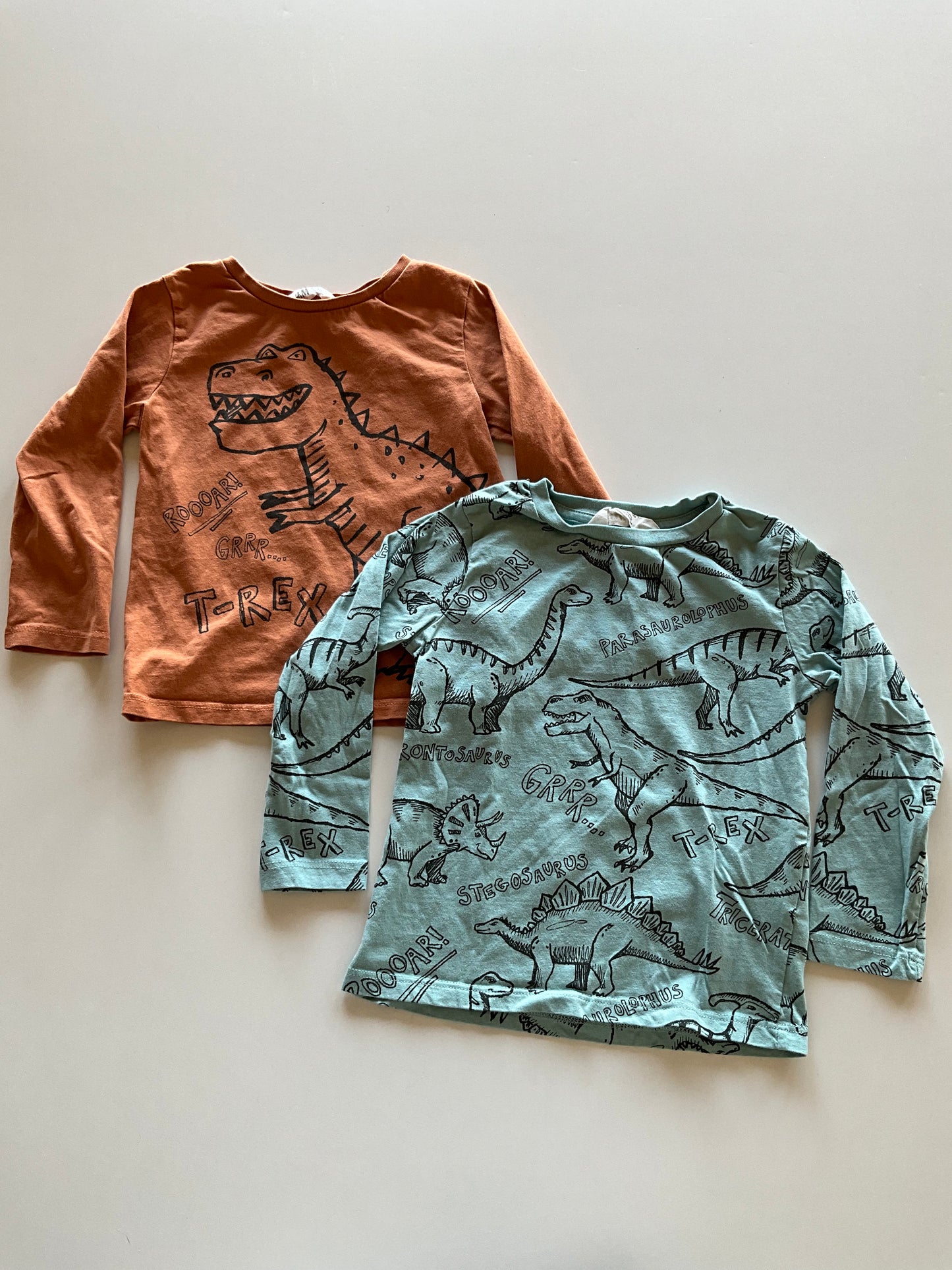 2 Dinosaur Shirts