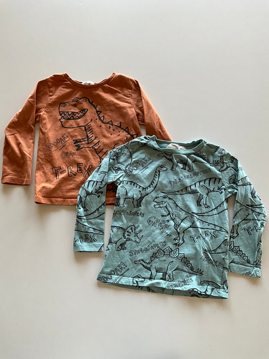 2 Dinosaur Shirts