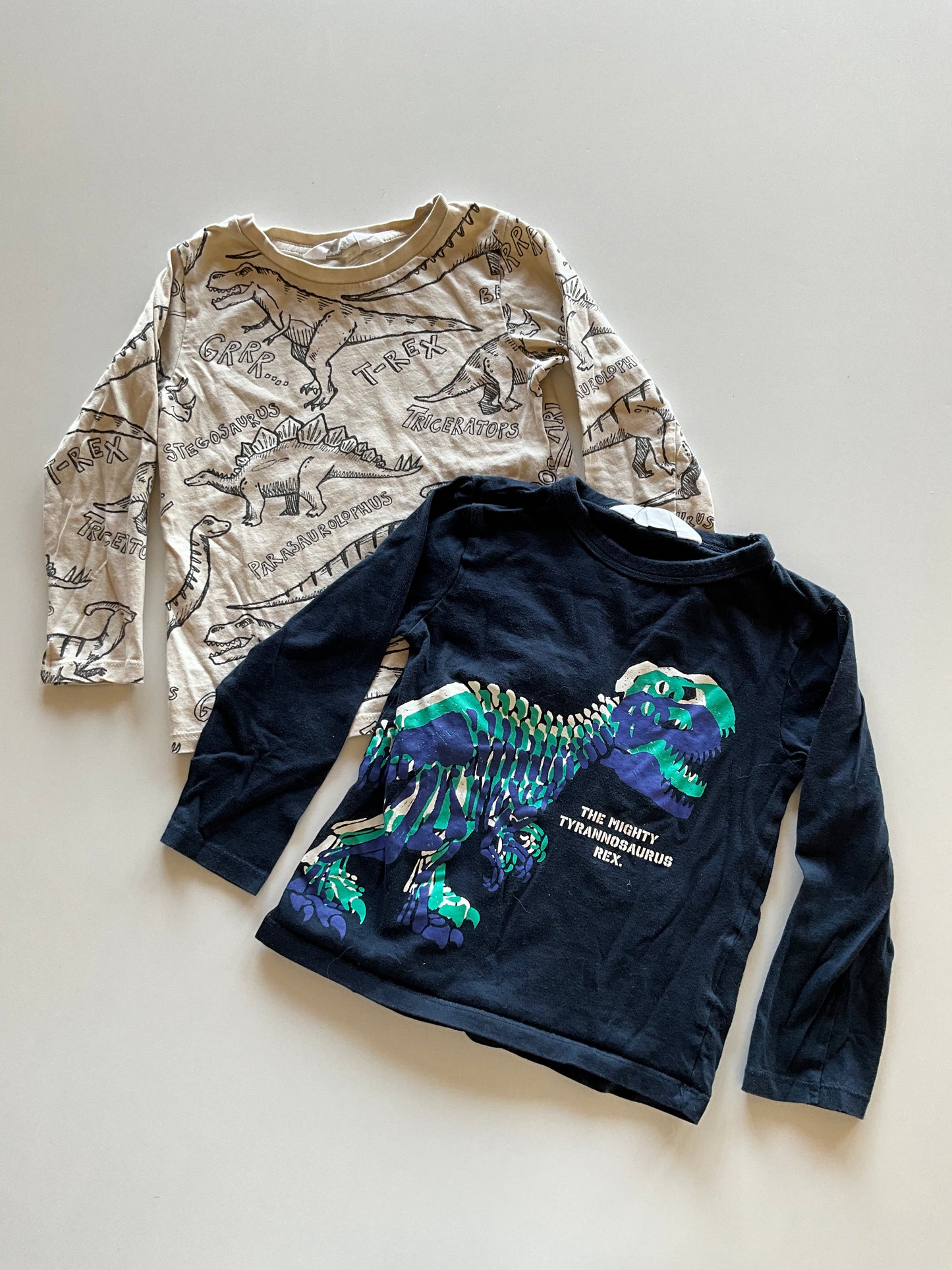2 Dinosaur Shirts
