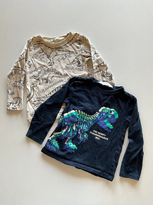 2 Dinosaur Shirts