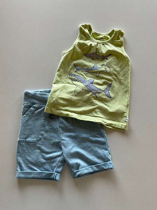2pc Lime & Blue Shark Set