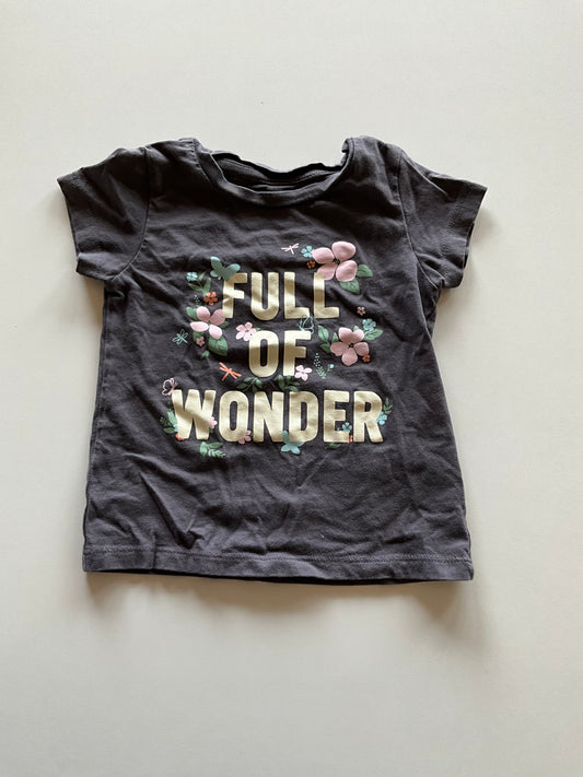 Charcoal Full of Wonder Tee