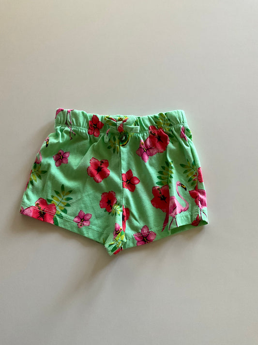 Green Flamingo Shorts