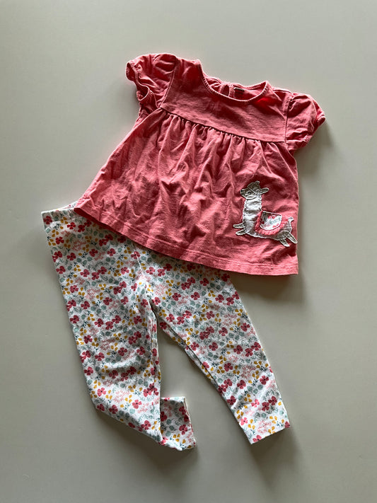 2pc Pink Floral Llama Set