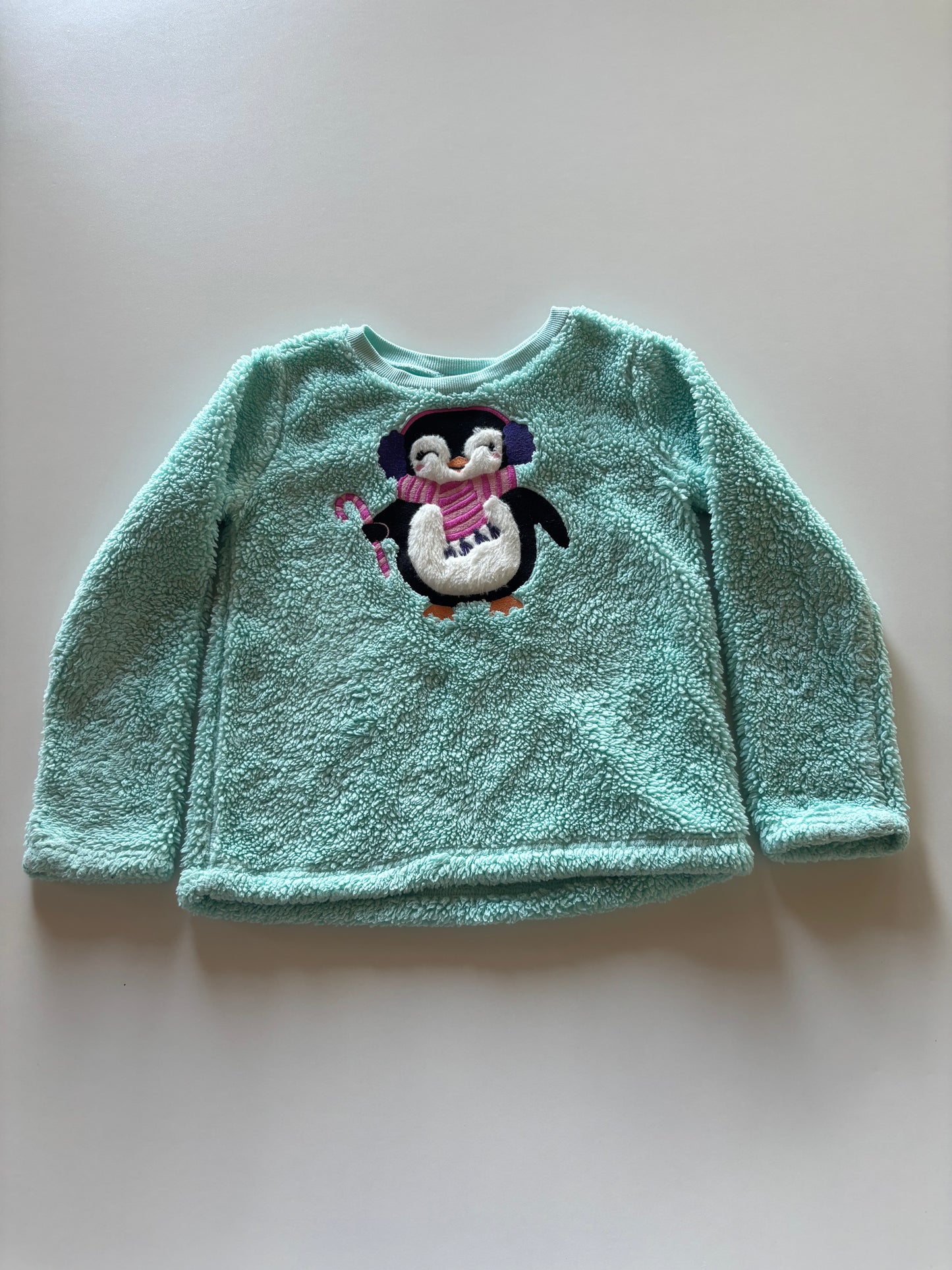 Mint Fuzzy Penguin Crewneck