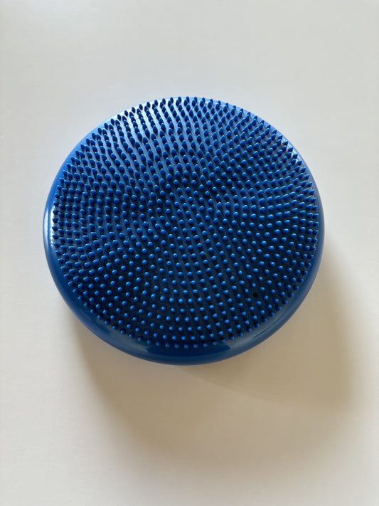 Blue Wiggle Wobble Cushion