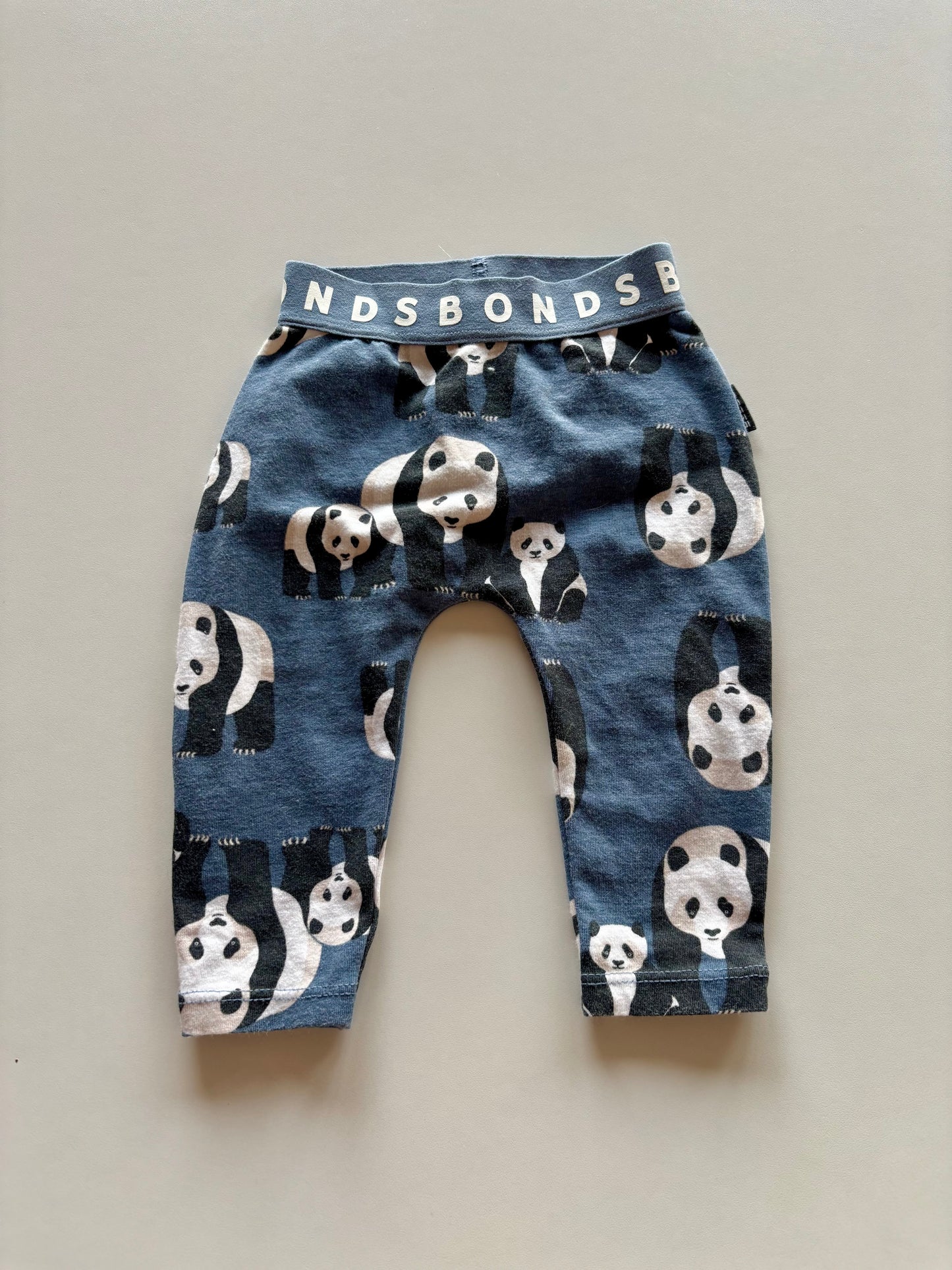 Blue Panda Bonds Stretchies